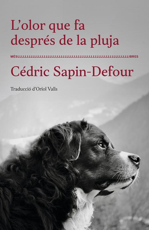 L'OLOR QUE FA DESPRÉS DE LA PLUJA | 9788417353568 | SAPIN-DEFOUR, CÉDRIC