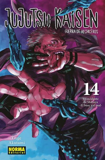 JUJUTSU KAISEN 14 | 9788467966909 | GEGE, AKUTAMI