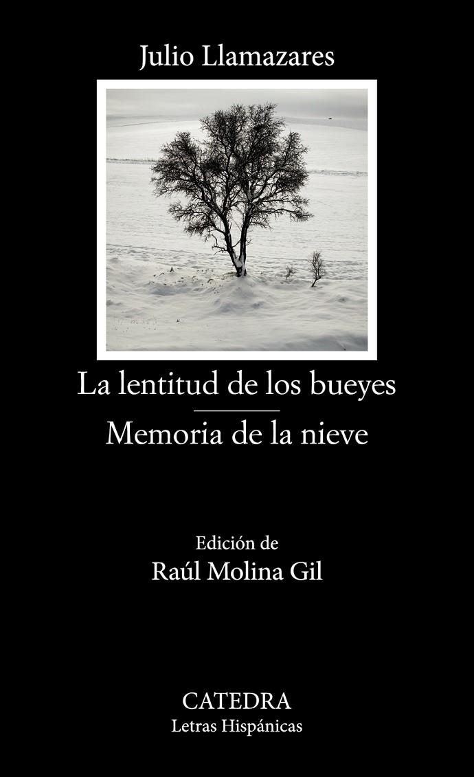 LA LENTITUD DE LOS BUEYES; MEMORIA DE LA NIEVE | 9788437647791 | LLAMAZARES, JULIO