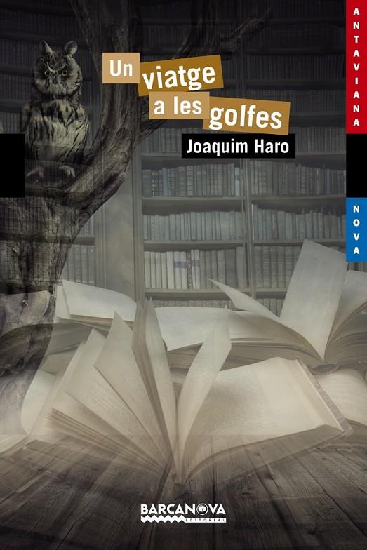 UN VIATGE A LES GOLFES | 9788448938598 | HARO, JOAQUIM