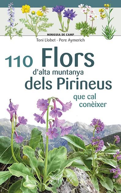 110 FLORS D'ALTA MUNTANYA DELS PIRINEUS | 9788413564647 | AYMERICH, PERE