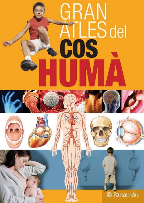 GRAN ATLAS DEL COS HUMA | 9788434228795 | REGALADO NAVARRO, GUSTAVO/CASSAN, ADOLFO