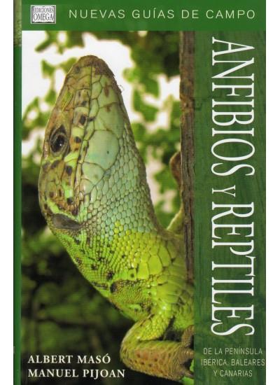 ANFIBIOS Y REPTILES PEN.IBERICA BAL.Y CAN. | 9788428213684 | MASO, A. Y PIJOAN, M./PIJOAN, M.