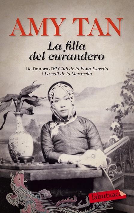 LA FILLA DEL CURANDERO | 9788499308371 | AMY TAN