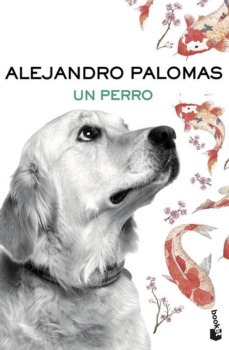 UN PERRO | 9788423351862 | PALOMAS, ALEJANDRO