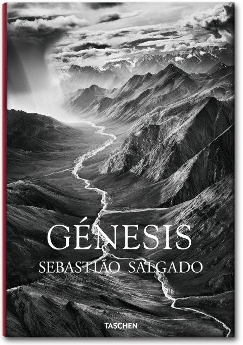 SALGADO, GENESIS | 9783836542609 | LEILA WANICK SALGADO