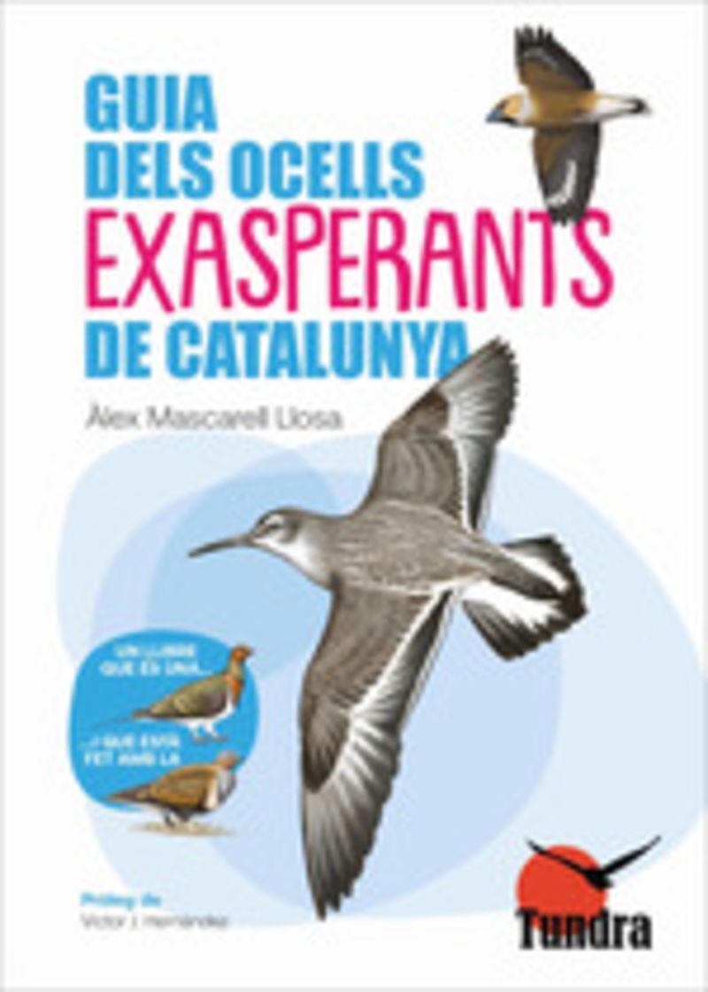 GUIA DELS OCELLS EXASPERANTS DE CATALUNYA | 9788419624802 | MASCARELL LLOSA, ALEX