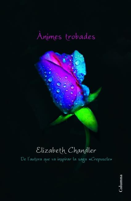 ÀNIMES TROBADES | 9788466415095 | ELIZABETH CHANDLER